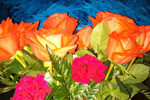 hot pink and orange roses over exposed