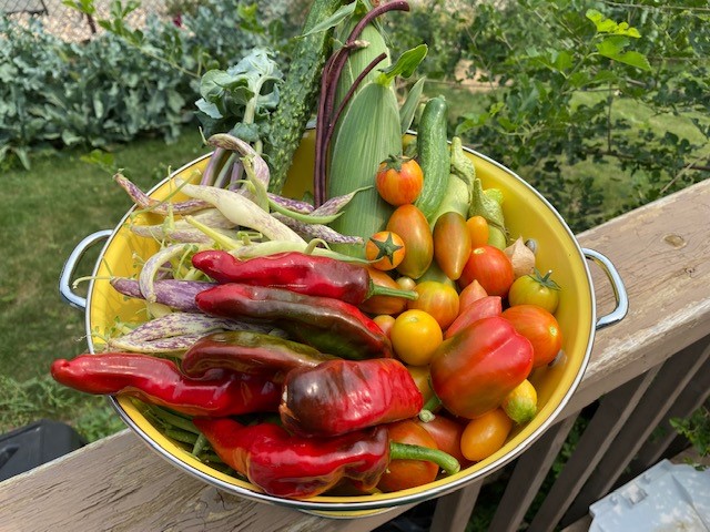 July Harvest Zone 5