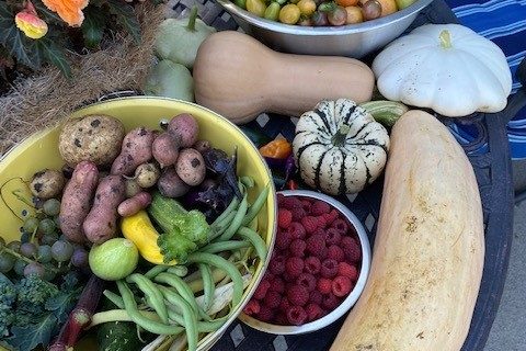 September Harvest Zone 5