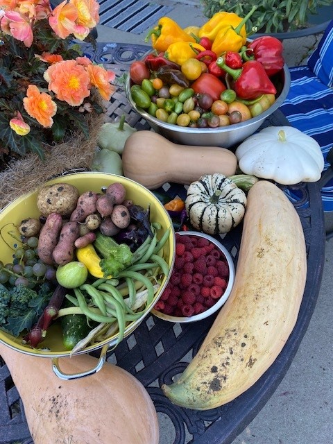 September Harvest Zone 5