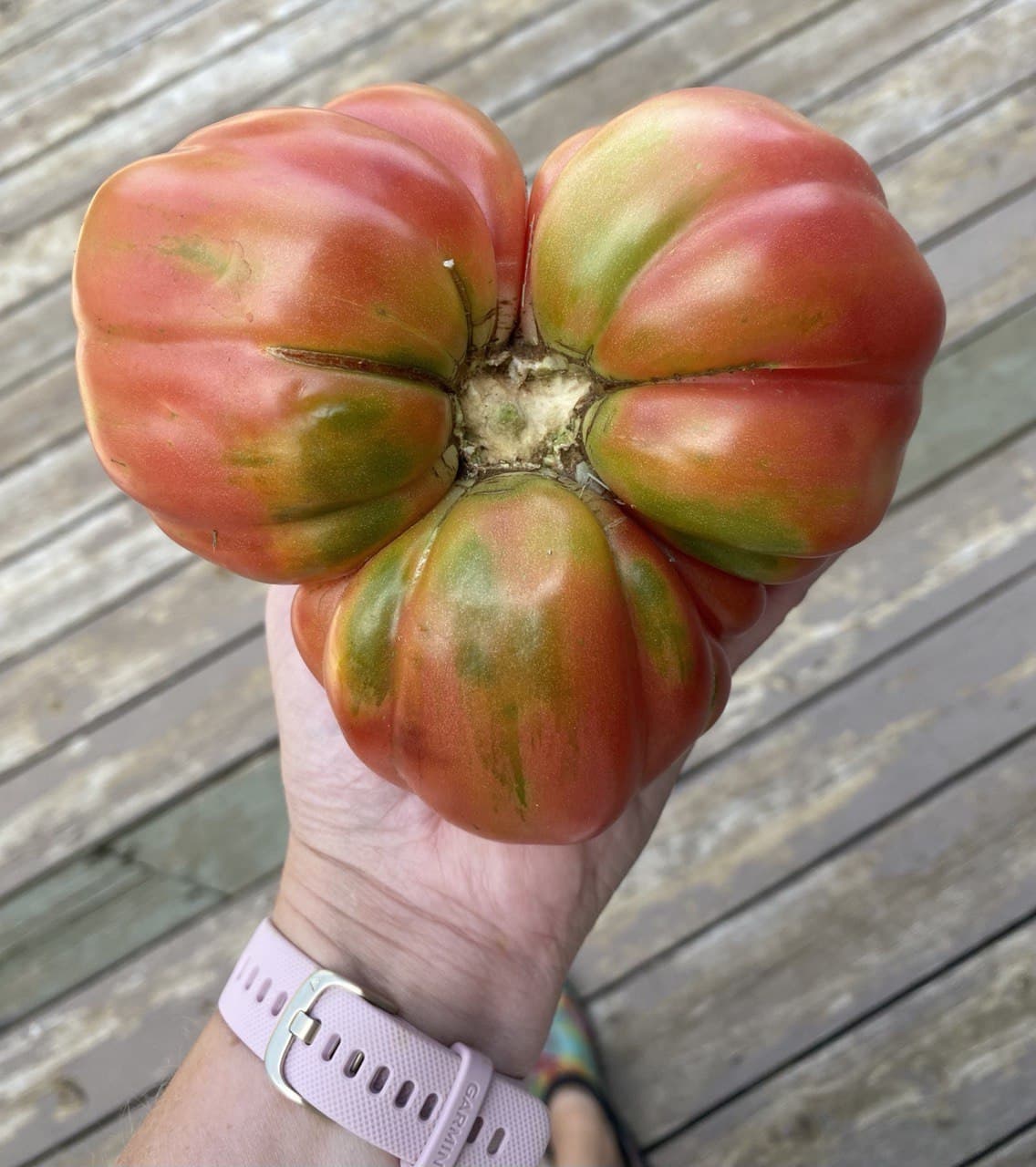 Mushroom Basket Mega Blossom Fruit CElisabeth